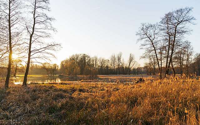 Winterlicher Spreewald zwischen Lübbenau und Lehde