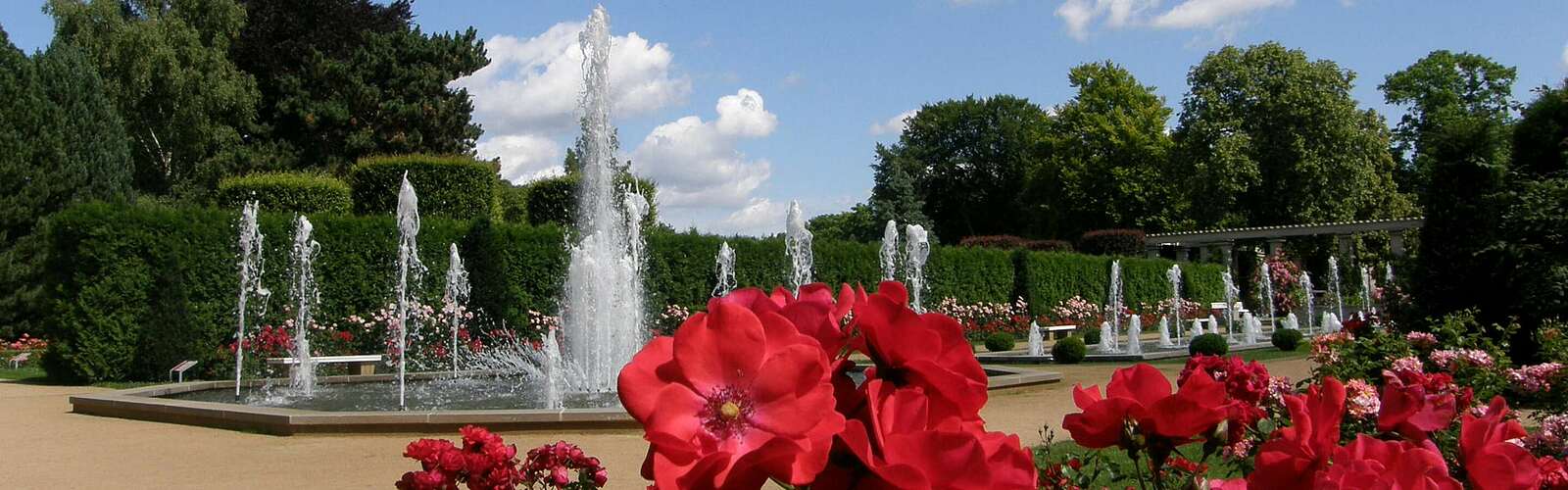 Ostdeutscher Rosengarten in Forst (Lausitz),
        
    

        Foto: Stadt Forst (Lausitz)/Annette Schild