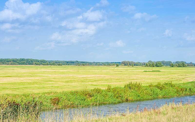 



        
            Die Weite der Natur hinter der Löcknitz,
        
    

        Foto: TMB-Fotoarchiv/Steffen Lehmann
    