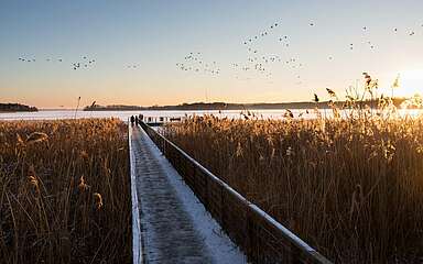 Winter am Scharmützelsee