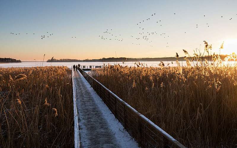 



        
            Winter am Scharmützelsee,
        
    

        Foto: TMB-Fotoarchiv/Yorck Maecke
    