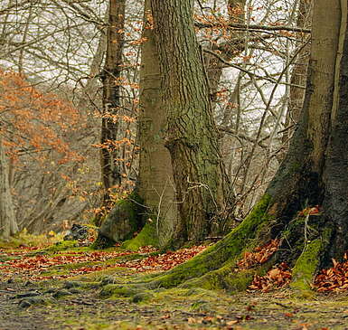 Veranstaltungstipps Herbstferien