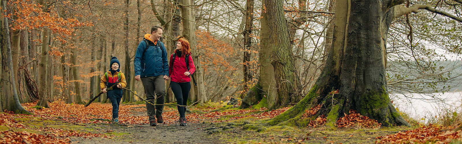 Familienwanderung am Stechlinsee,
        
    

        Foto: TMB-Fotoarchiv/Julia Nimke