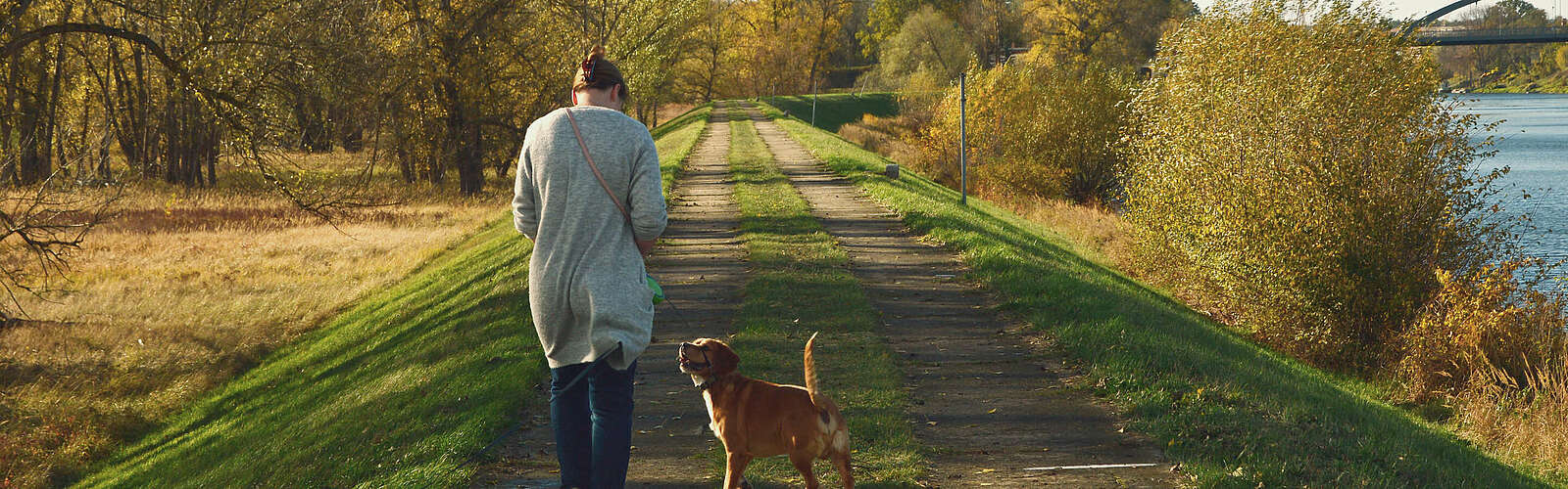 Wandern mit Hund,
        
    

        Foto: Pixabay/Peggy Choucair