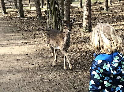 Tierpark Germendorf
