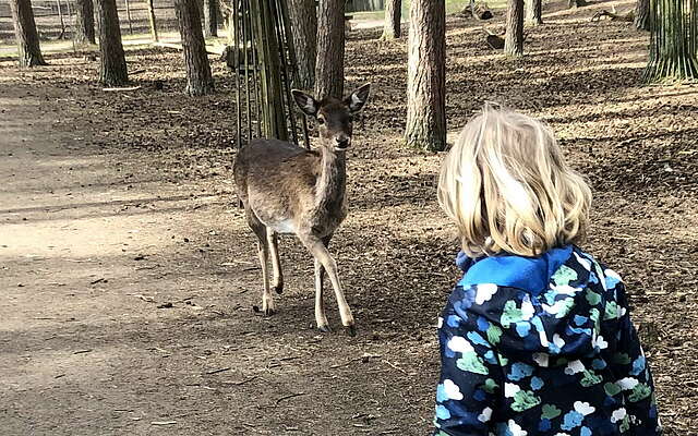 Tierpark Germendorf