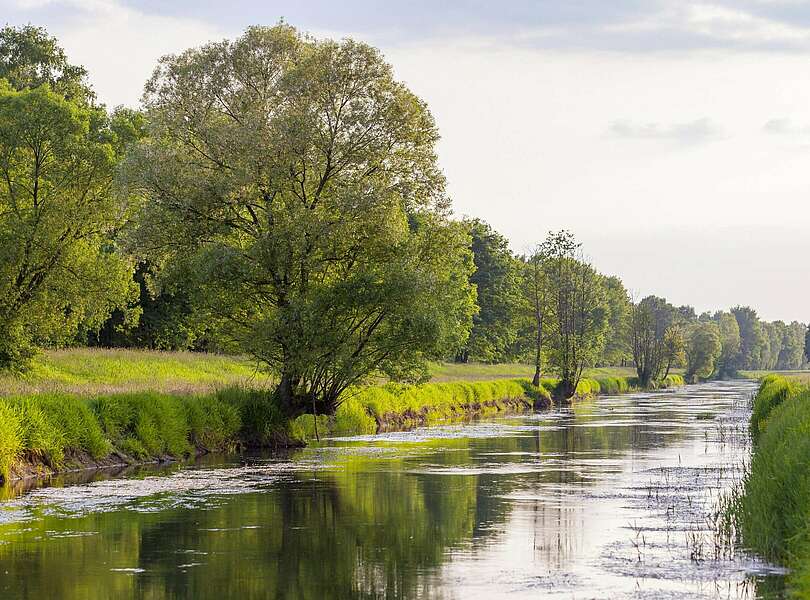 An der Schwarzen Elster