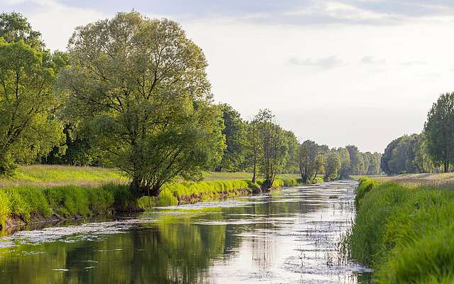 An der Schwarzen Elster