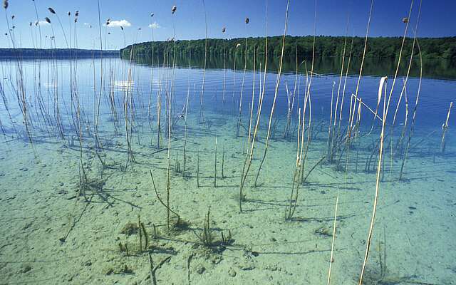 Großer Stechlinsee