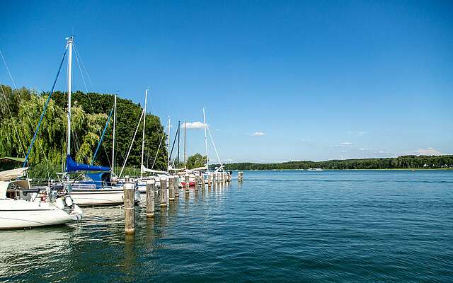 Segelboote auf dem Scharmützelsee