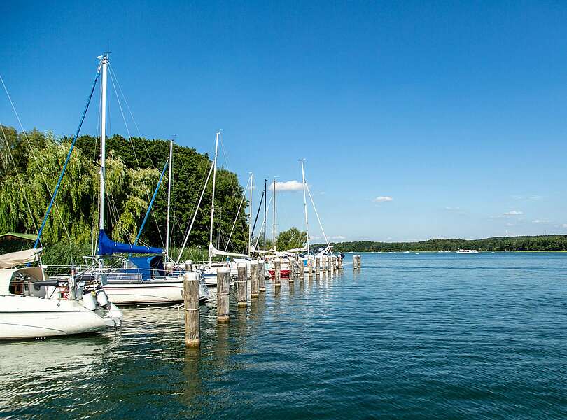 Segelboote auf dem Scharmützelsee