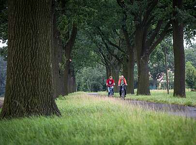 Radfahrer im Oderbruch