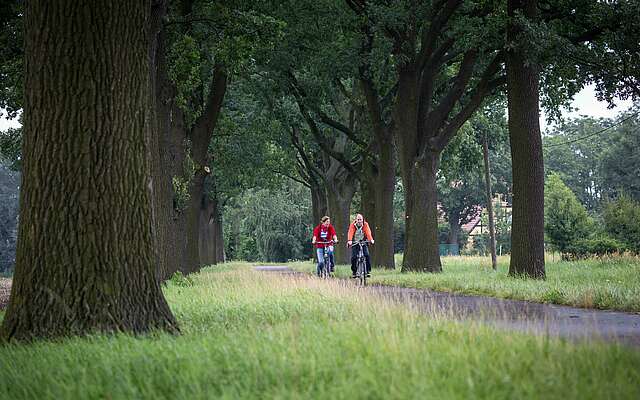 Radfahrer im Oderbruch