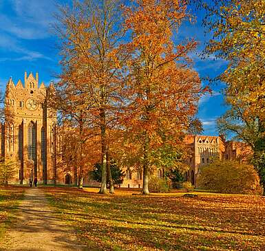 6 ziemlich gute Tipps für den Herbst in Brandenburg