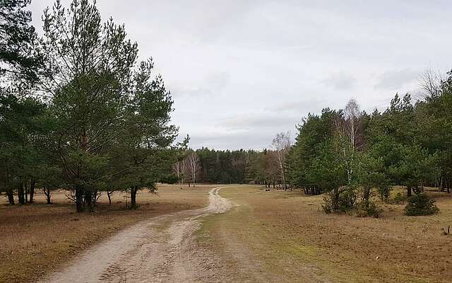 Wildgehege Glauer Tal