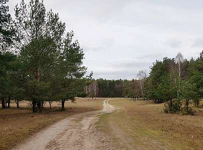 Wildgehege Glauer Tal