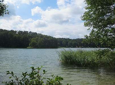 Blick über den Roofensee