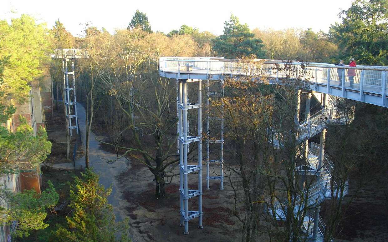 Auf stählernen Stelzen gebaut: der Baumkronenpfad in Beelitz-Heilstätten im Fläming