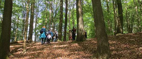 Eine Wanderung durch das UNESCO-Weltnaturerbe