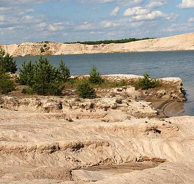 Niederlausitzer Landrücken