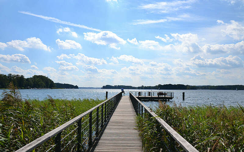 



        
            Seebrücke am Scharmützelsee,
        
    

        Foto: TMB-Fotoarchiv/Matthias Schäfer
    