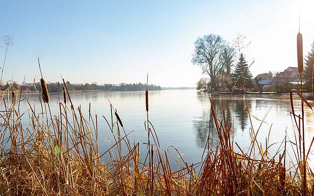 Müllroser See im Winter