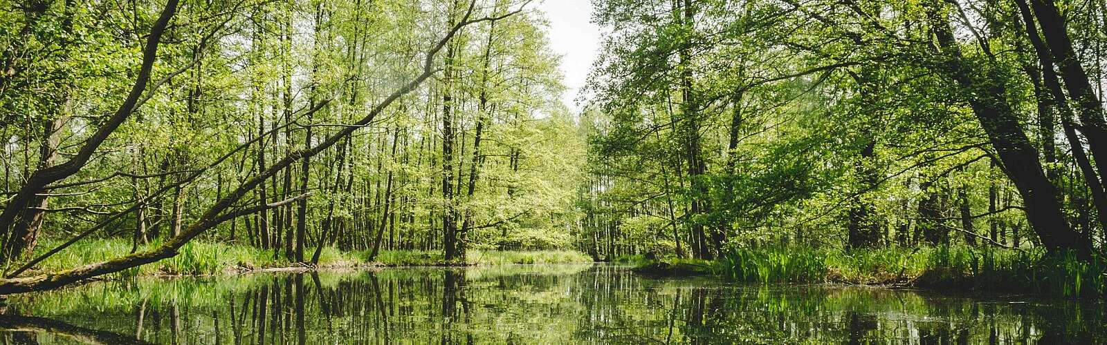 Im Spreewald,
        
    

        Foto: TMB-Fotoarchiv/Inka Chall