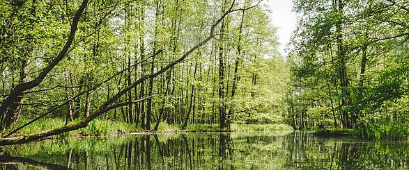 Auszeit im Spreewald