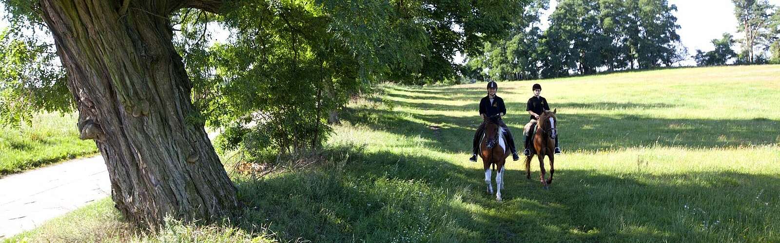 Reiten in der Uckermark,
        
    

        Foto: TMB-Fotoarchiv/Paul Hahn