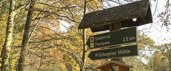 Naturpark Märkische Schweiz: Wandern für die ganze Familie