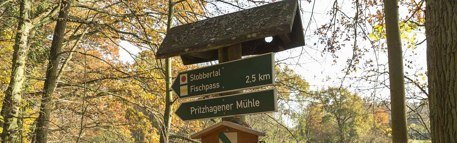 Naturparkroute Märkische Schweiz,
        
    

        Foto: TMB-Fotoarchiv/Steffen Lehmann