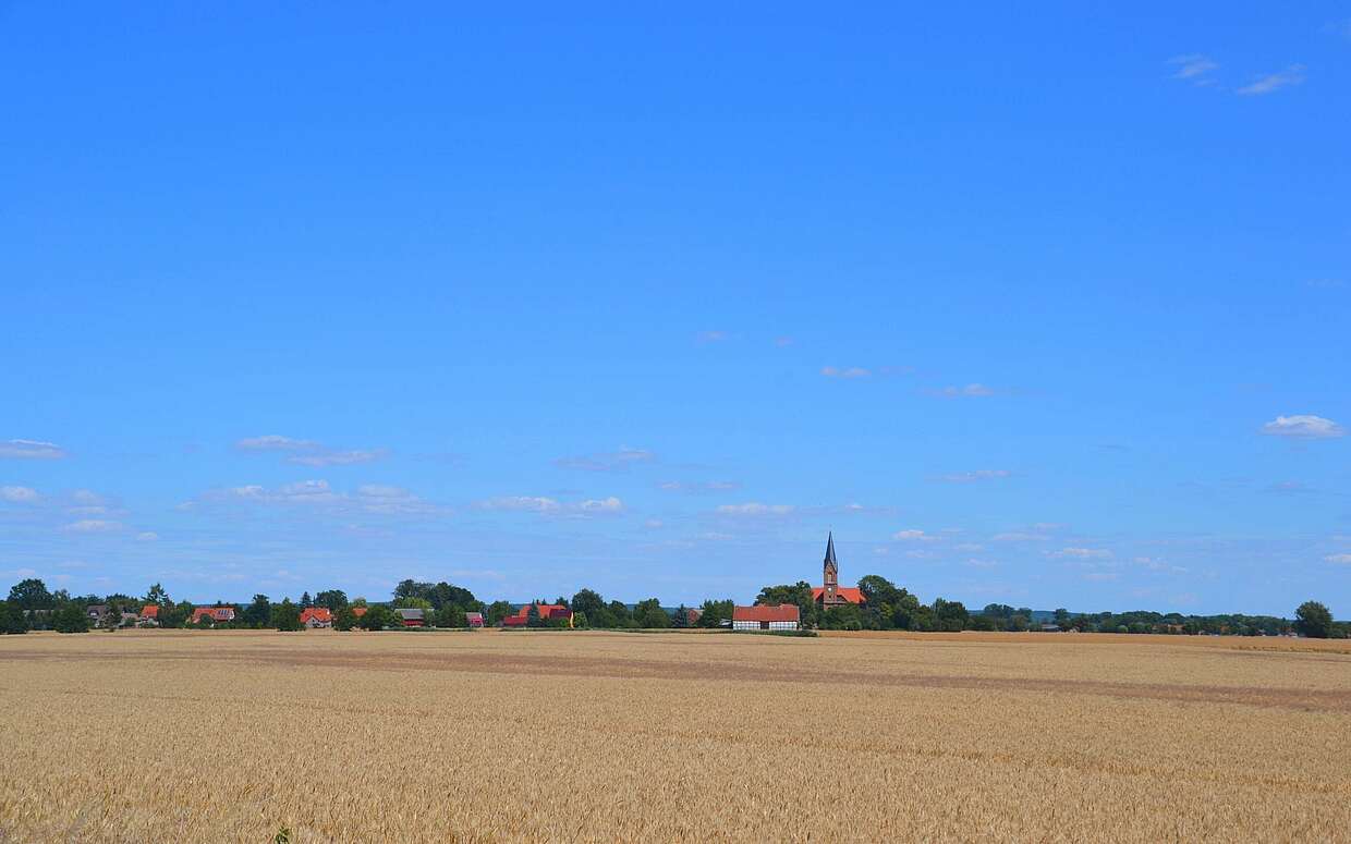 Blick auf das Dorf Neuküstrinchen im Oderbruch