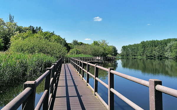 Wanderung auf dem Steg am Mühlensee