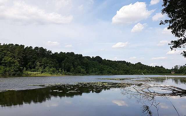 Strehlesee im Naturpark Barnim