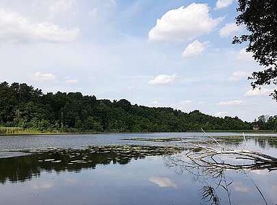 Strehlesee im Naturpark Barnim