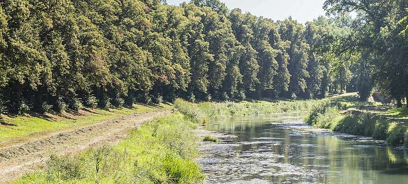 Bad Liebenwerda: Entdeckungen im Süden