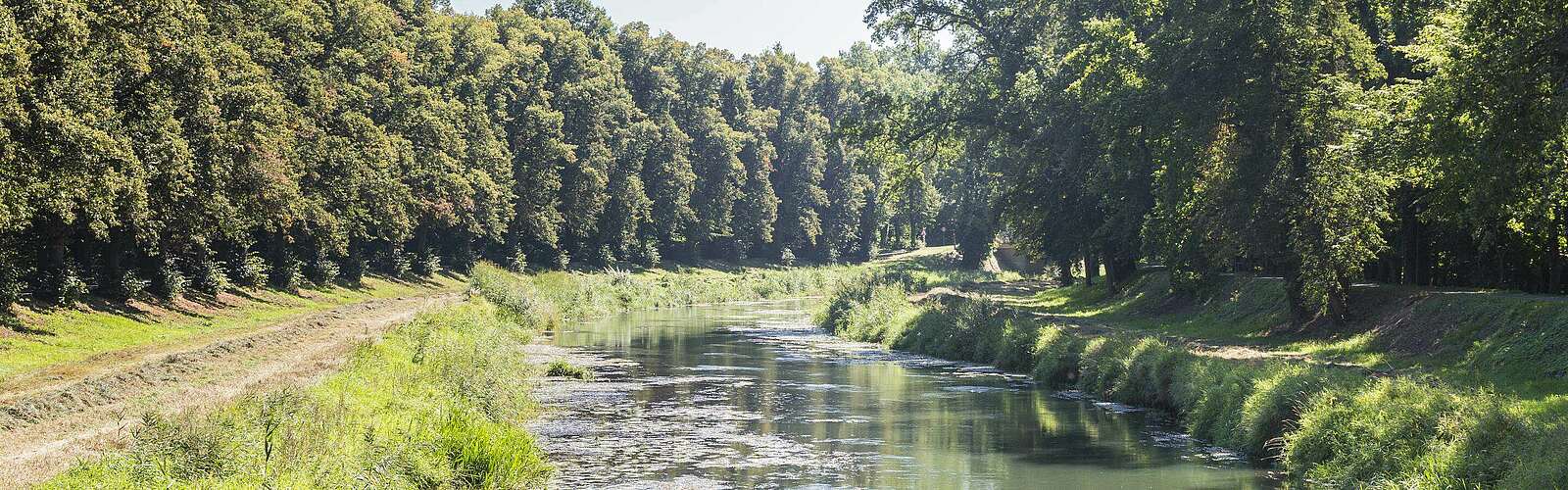 Schwarze Elster,
        
    

        Foto: TMB-Fotoarchiv/Steffen Lehmann