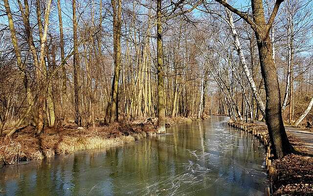 Spreewald im Winter