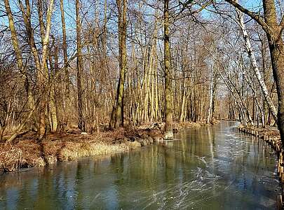 Spreewald im Winter