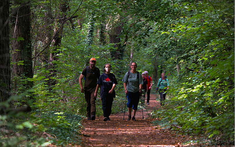 



        
            Fontane-Wandermarathon 2022,
        
    

        Foto: Tourismusverband Ruppiner Seenland e.V./Thomas Janowitz
    