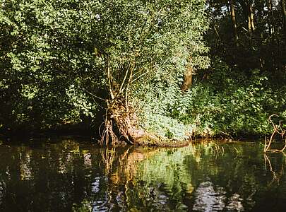 Floßtour auf dem Schwielochsee 