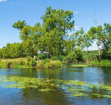 Flusslandschaft Spree