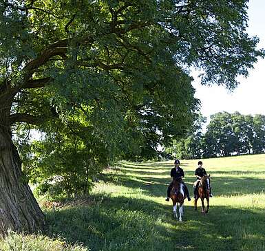 Reiten