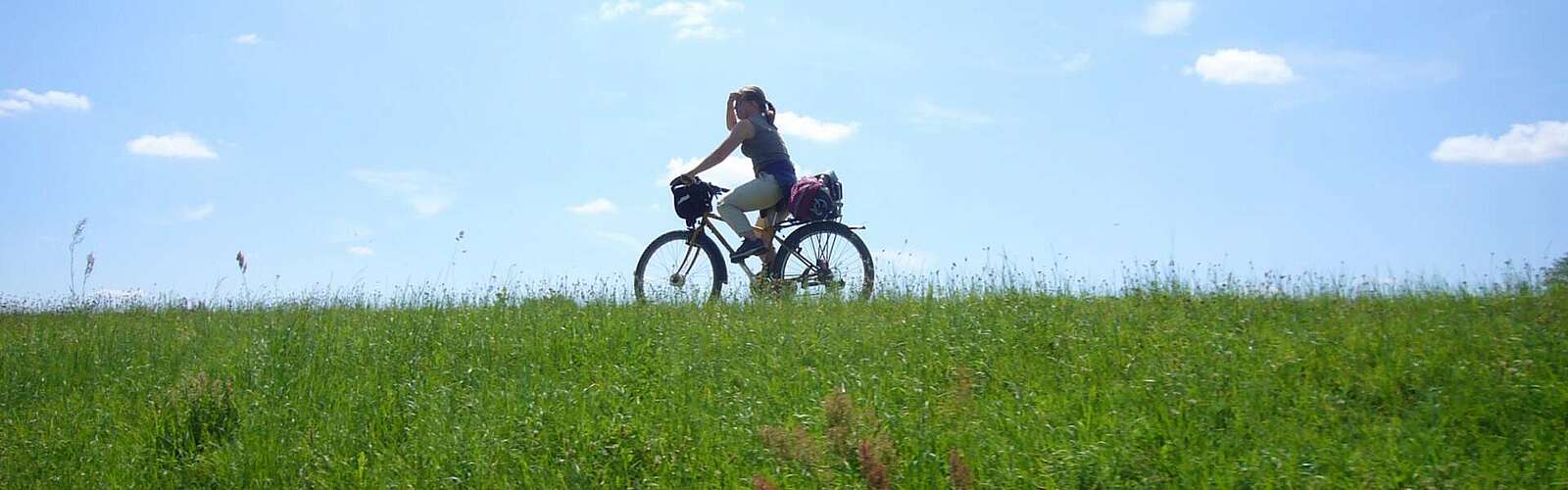 Mit dem Fahrrad auf dem Elberadweg,
        
    

        Foto: TMB-Fotoarchiv/Andrea Hofmann