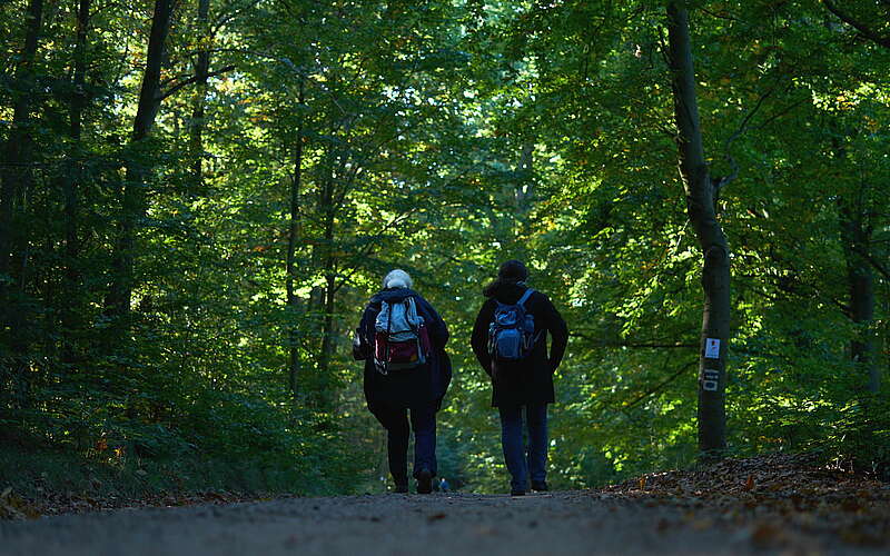 



        
            Fontane Wandermarathon 2021,
        
    

        Foto: Tourismusverband Ruppiner Seenland e.V./Thomas Janowitz
    