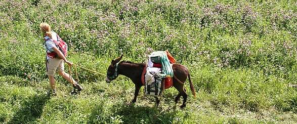 Brandenburg: Mit dem Esel unterwegs in der Uckermark