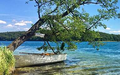 Blick auf den Stechlinsee