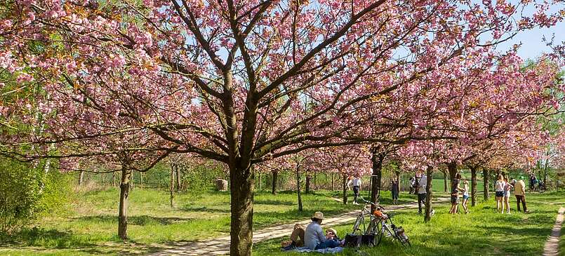 Ausflugstipps für den Frühling in Brandenburg