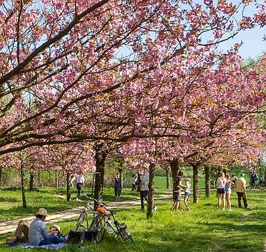 Ausflugstipps für den Frühling in Brandenburg