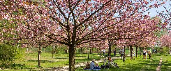 Ausflugstipps für den Frühling in Brandenburg